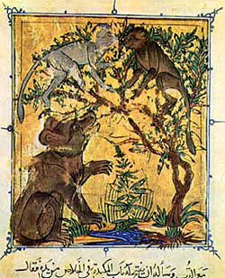 L'orso e la scimmia, miniatura, XIV secolo